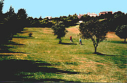 Alto Golf: Par 5