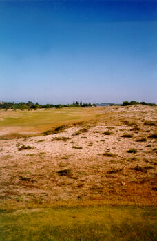 Palmares: Damentee 5