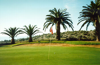 Palmares: Grn 10