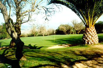 Palmares: Grn 16