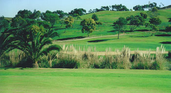 Parque da Floresta: Fairway mit Biotop