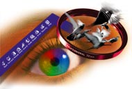 Adobe Photoshop